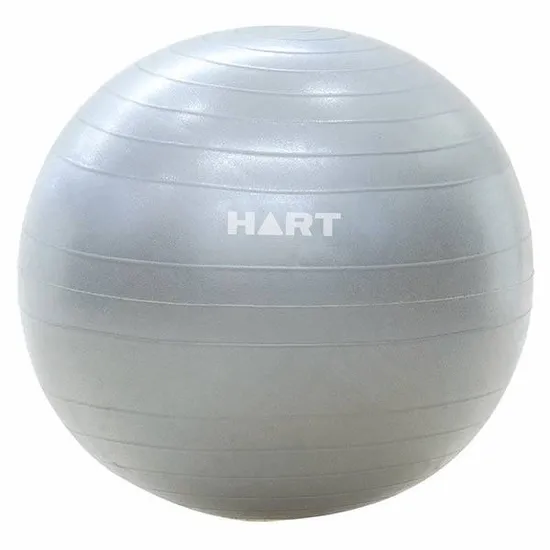 Swiss Ball Anti Rotation HART Anti Burst Swiss Ball 55cm