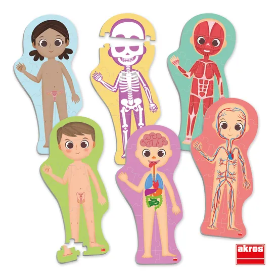 Puzzlevison Body Discover the Human Body Puzzle