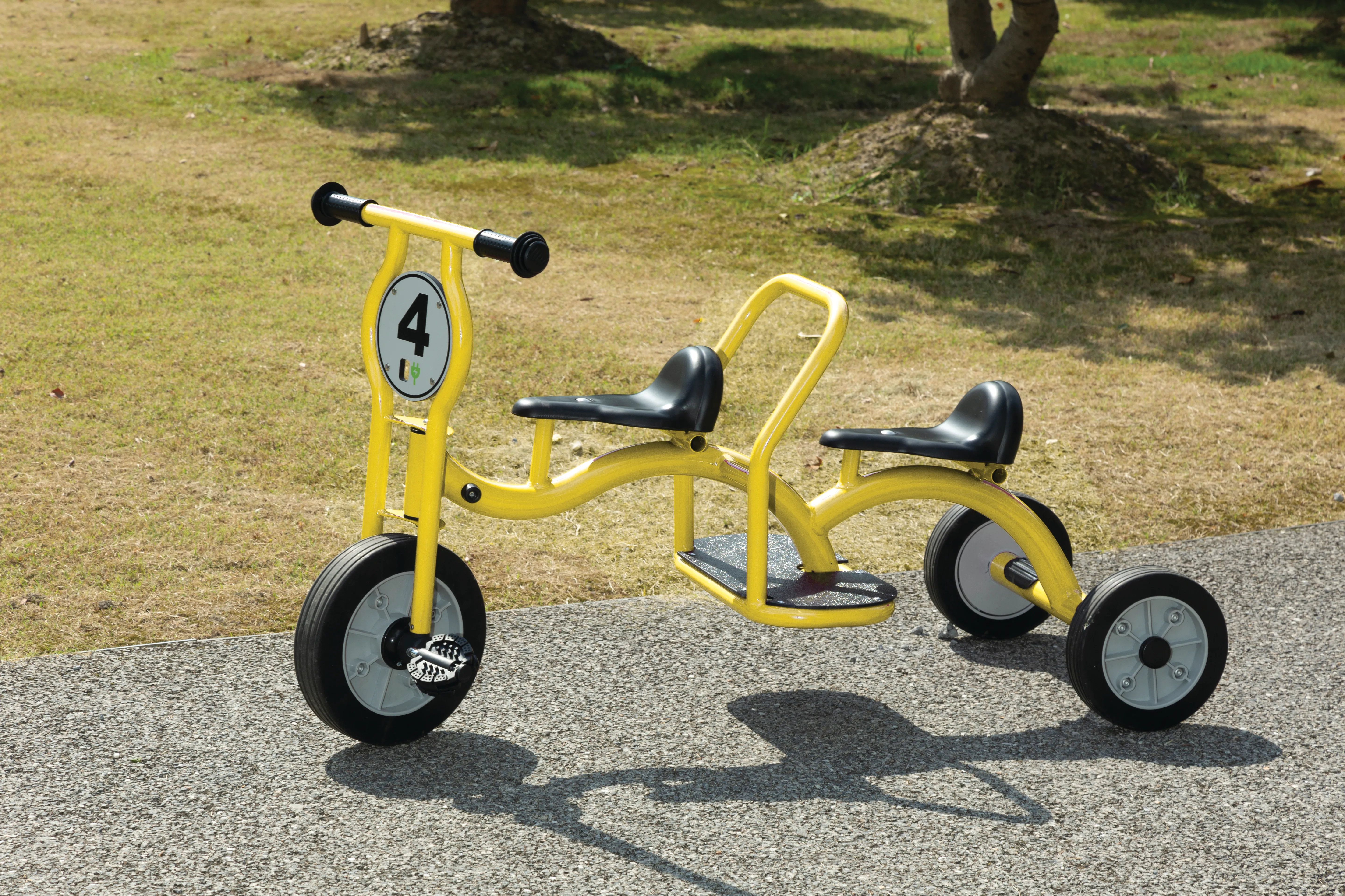 Team Dual Adult Tricycle Two Seat Team Dual Trike Workman Trikes