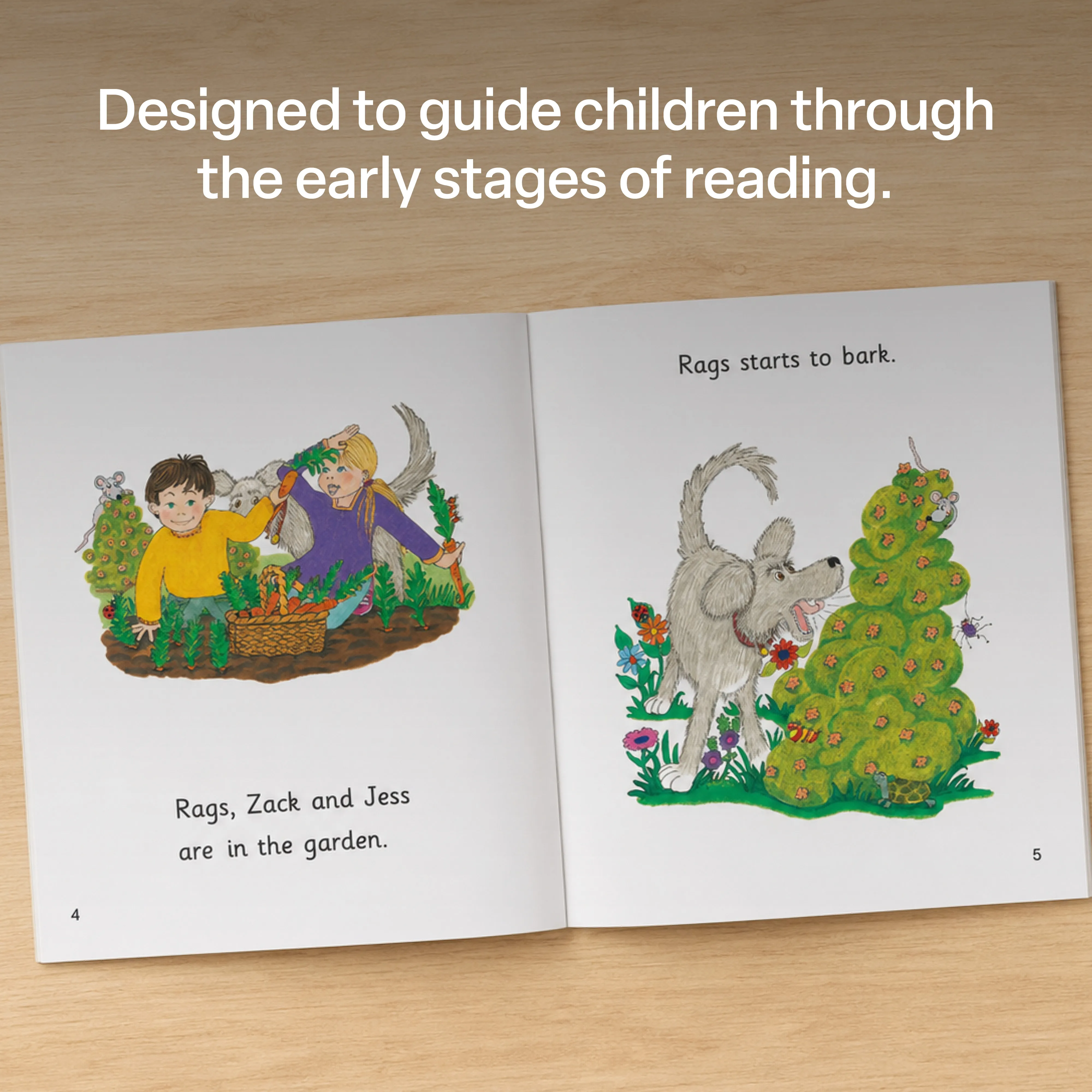 Jolly Phonics Decodable Readers - Level 1-4