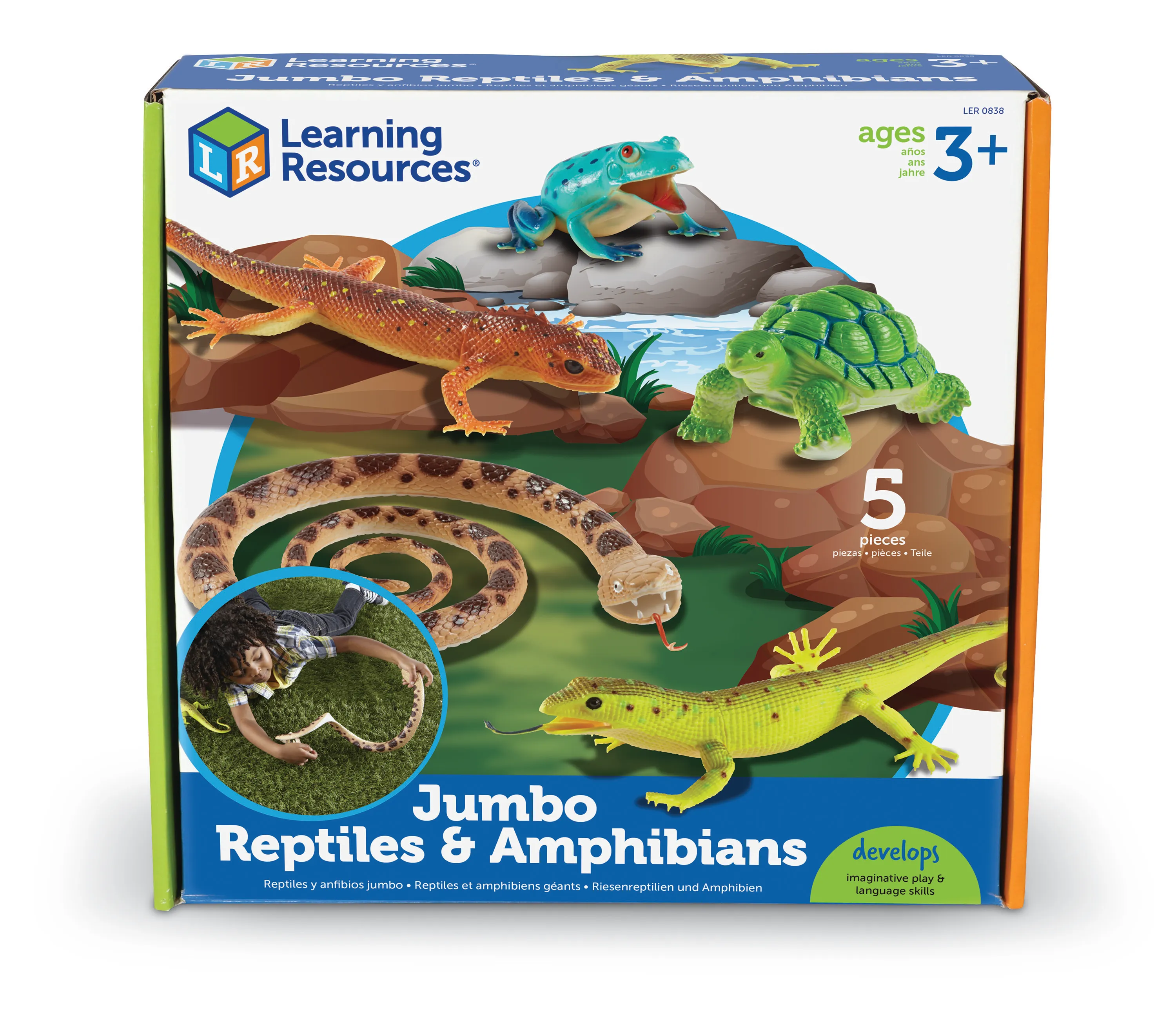 Jumbo Reptiles Amphibians