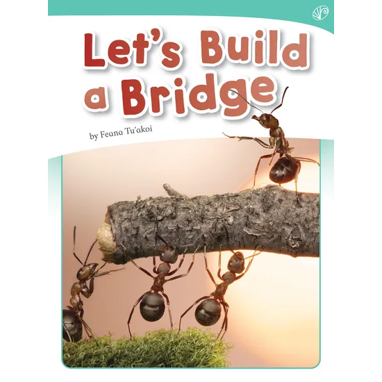 Let's Build a Bridge