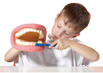 TickiT 03083 Giant Teeth Demonstration Set - Kit Dentaire Géant Pour Enfants