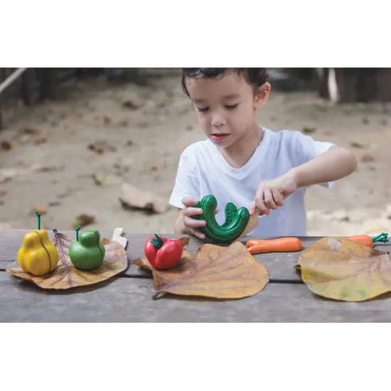 PlanToys Wonky Fruit Vegetables