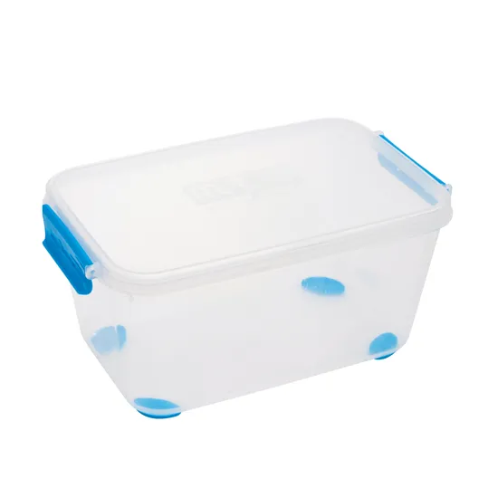 Teachables Plastic Storage Container – 2.5 L