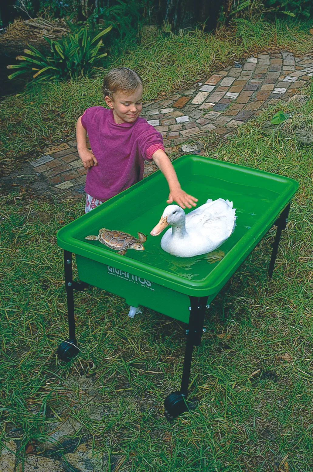 Gigantos Water Table and Stand